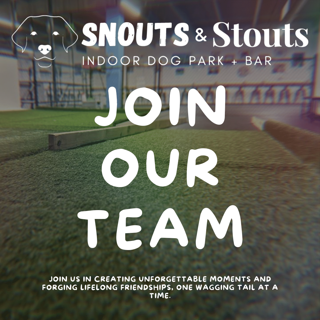 Careers Snouts and Stouts