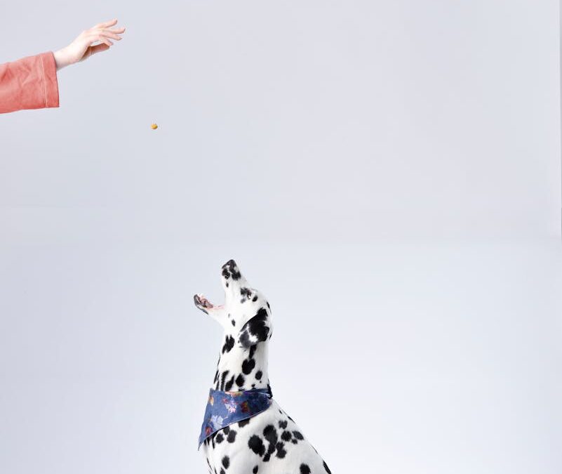 Can Dogs Eat Pineapple? Safety and Health Benefits