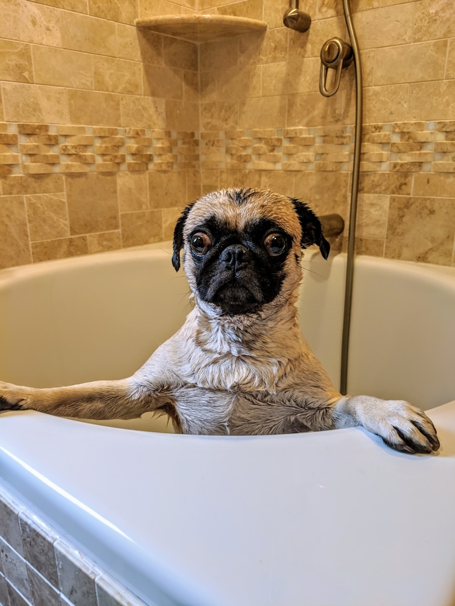 best dog shampoo for itchy skin