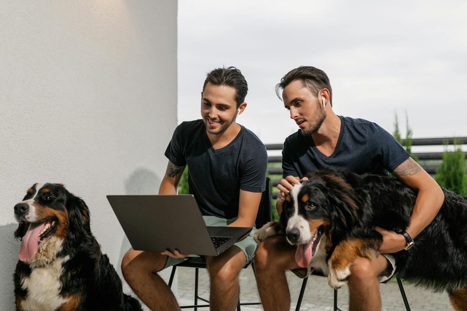 best family dogs