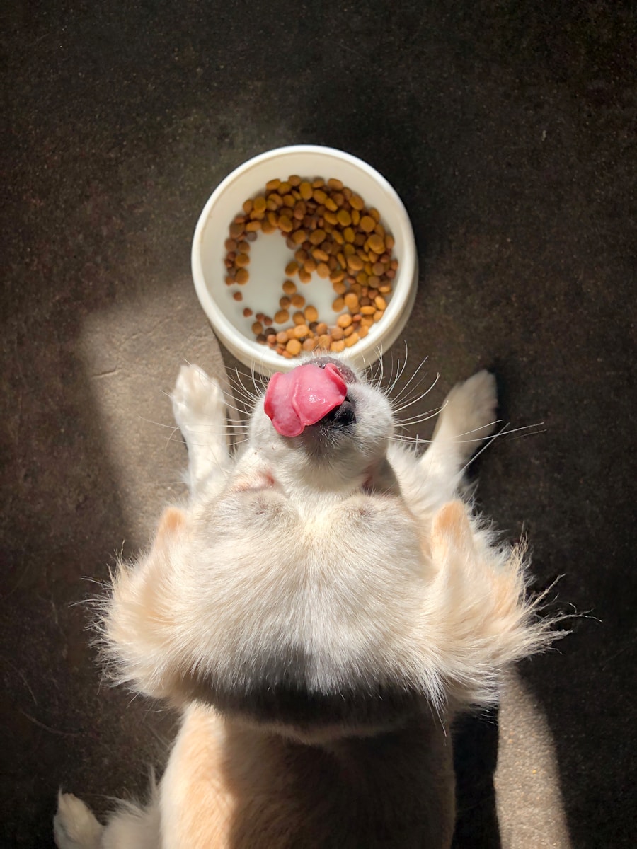 highly digestible dog food