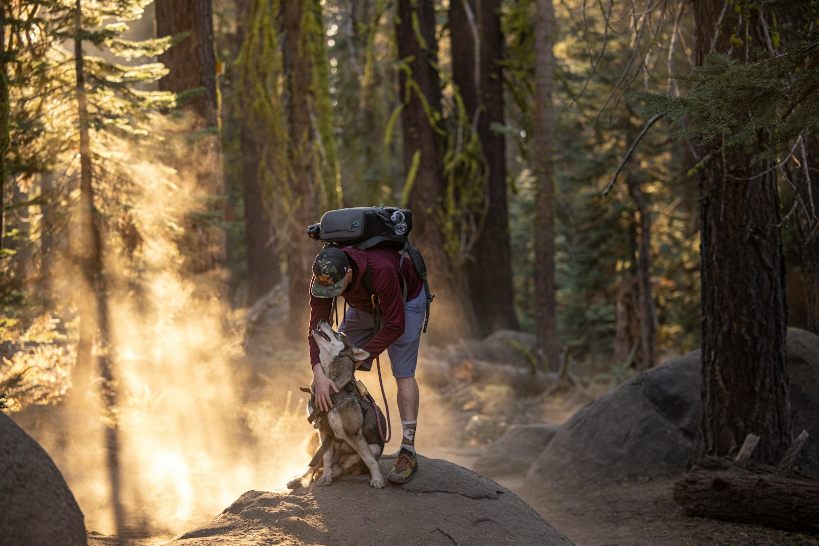dog friendly trails