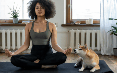 Mental Stimulation for Dogs in Arlington: Turning Energy Into Focus Through Structure and Fitness