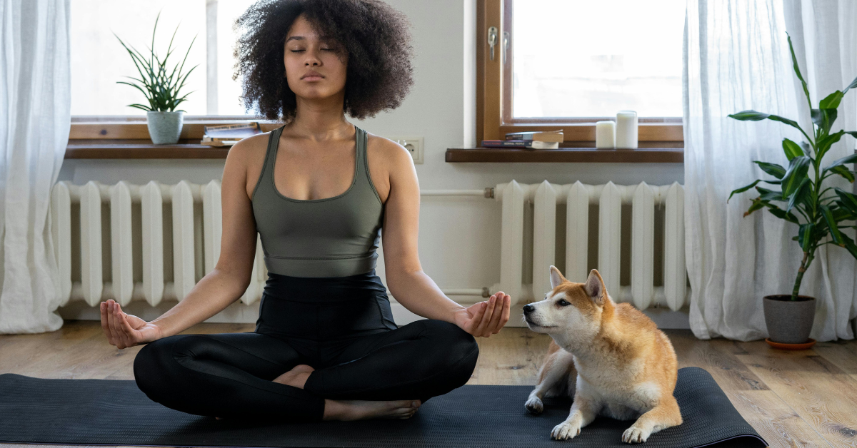 mental stimulation for dogs